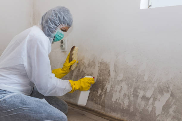 Asbestos and Lead Testing During Mold Inspection in Houserville, PA